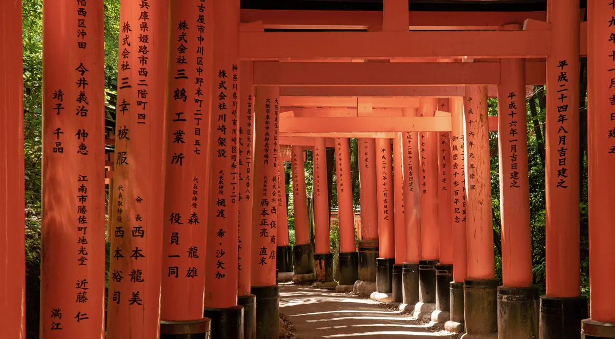Excursión Nara + Fushimi Inari